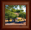 Homes For Sale