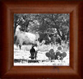 Buy Art Prints